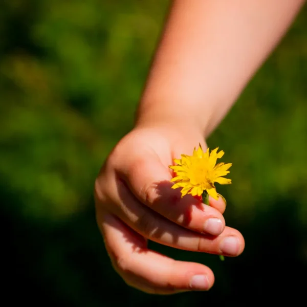 eggert-alm-haus-dietrichkuehne_DSCF6081